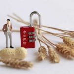 一到赔付就扯皮，赔多赔少看关系？种粮保险需要更“保险”