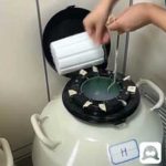 “试管婴儿”费纳入医保背后：“隐形”的不孕不育群体终被“看见”