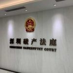 个人破产，非为“老赖”撑腰
