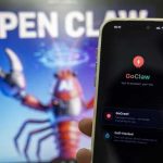 风口之上：“养龙虾”的热闹与隐忧